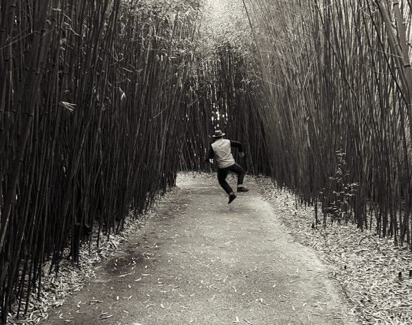 Jumping in the “Ephemere” Labyrinth
