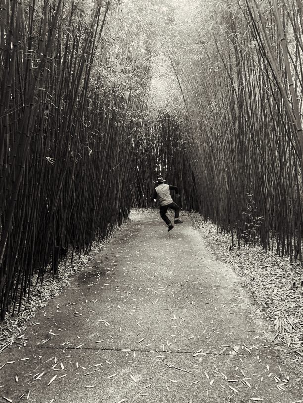 Jumping in the “Ephemere” Labyrinth
