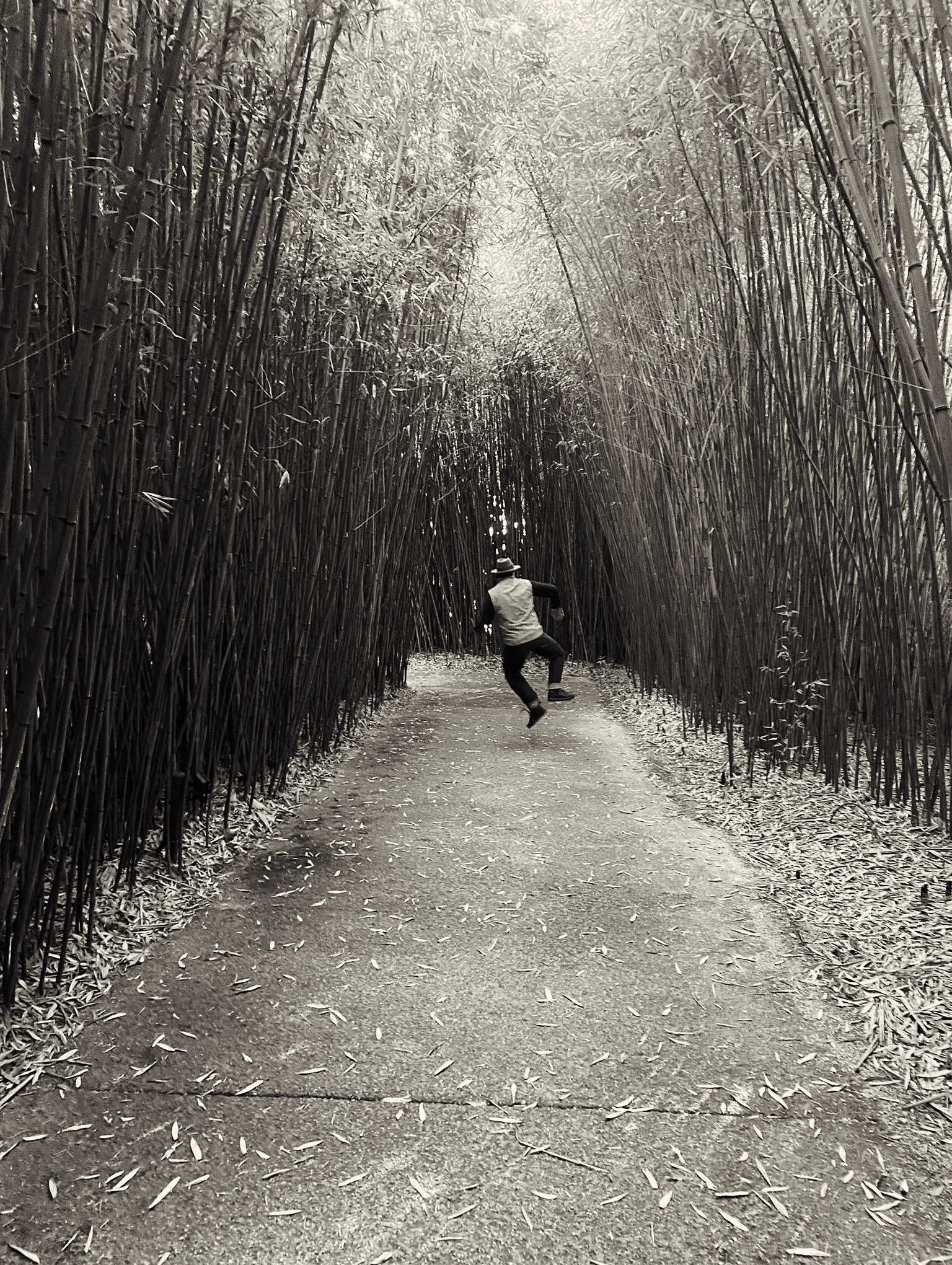Jumping in the “Ephemere” Labyrinth